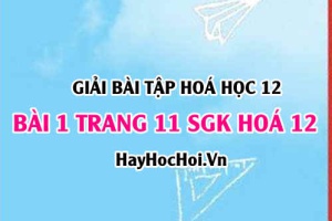 Giải bài 1 trang 11 SGK Hoá 12: Khái niệm Lipit, chất béo, tính chất hoá học của Chất béo